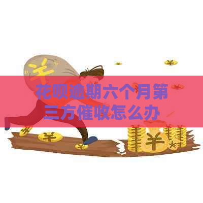 花呗逾期六个月第三方怎么办