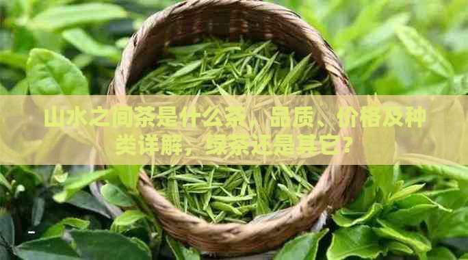 山水之间茶是什么茶，品质、价格及种类详解，绿茶还是其它？