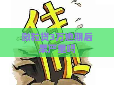 微粒贷3万逾期后果严重吗