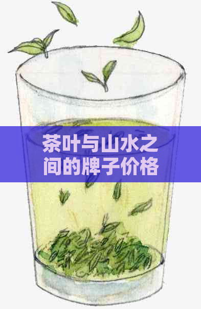 茶叶与山水之间的牌子价格：一盒多少钱？购买渠道与评价汇总