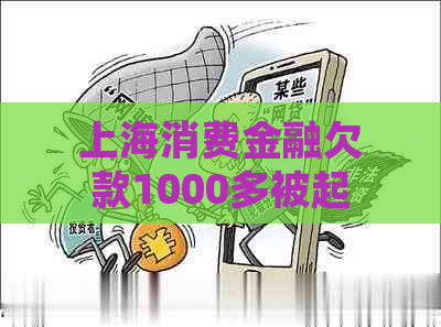 上海消费金融欠款1000多被起诉如何应对