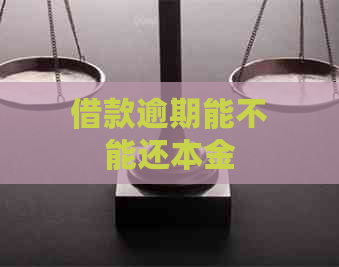 借款逾期能不能还本金