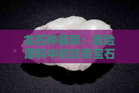 龙石种翡翠：危险原料中的珍贵宝石，价值分析