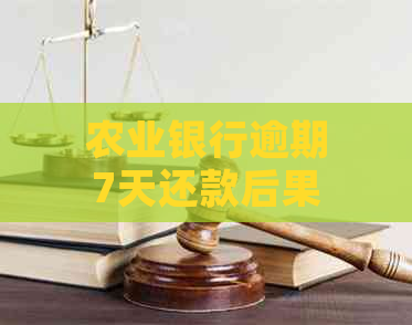 农业银行逾期7天还款后果及解决办法