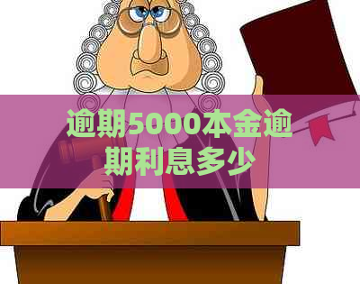 逾期5000本金逾期利息多少