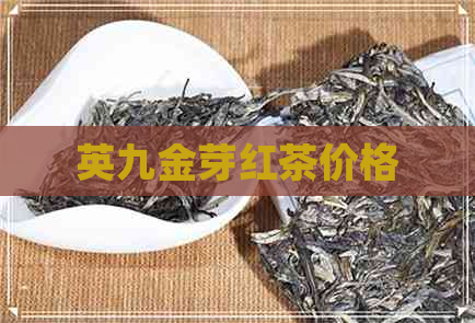 英九金芽红茶价格