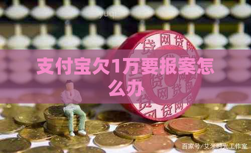 支付宝欠1万要报案怎么办