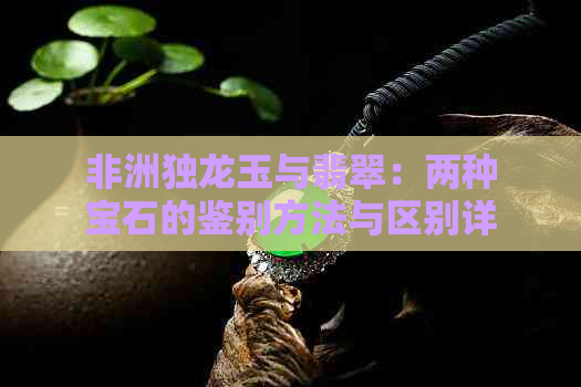 非洲独龙玉与翡翠：两种宝石的鉴别方法与区别详解