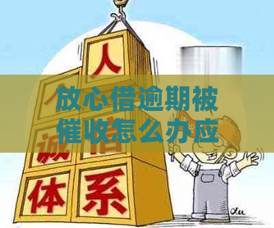 放心借逾期被怎么办应对的有效方法