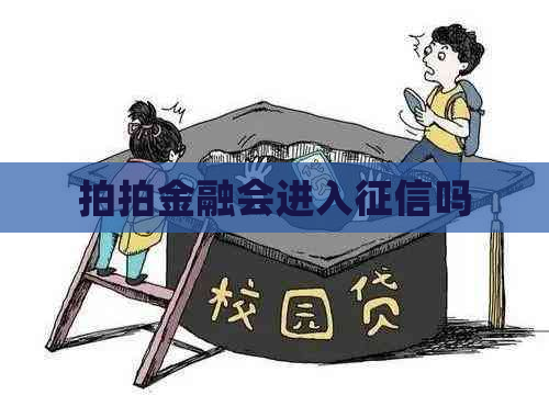 拍拍金融会进入吗