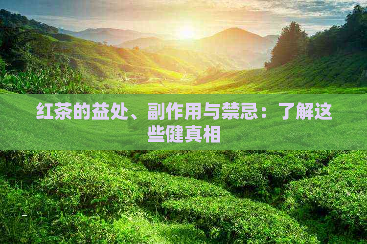 红茶的益处、副作用与禁忌：了解这些健真相