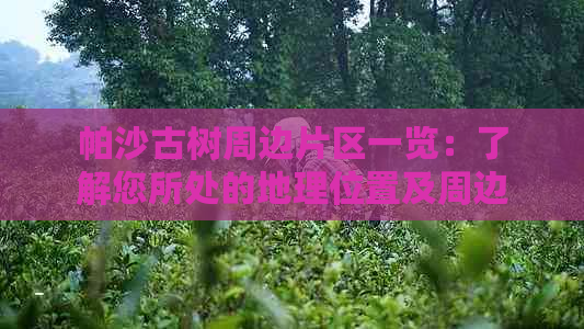 帕沙古树周边片区一览：了解您所处的地理位置及周边环境