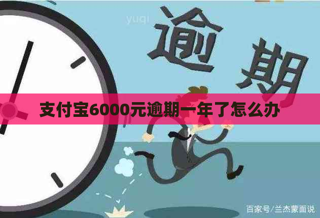 支付宝6000元逾期一年了怎么办