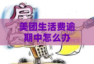 美团生活费逾期中怎么办