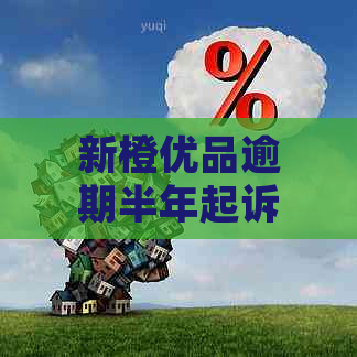 新橙优品逾期半年起诉案件详情披露