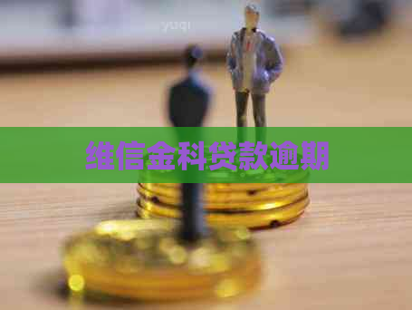 维信金科贷款逾期