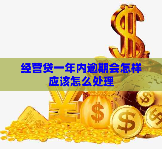 经营贷一年内逾期会怎样应该怎么处理