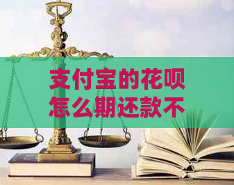 支付宝的花呗怎么期还款不了呢如何解决