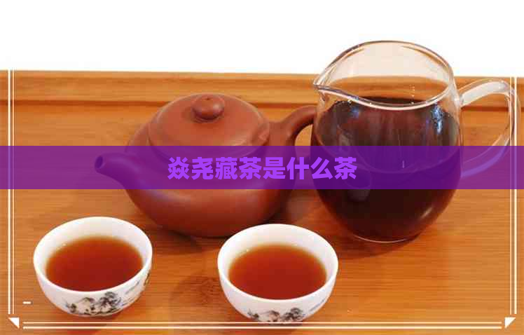 焱尧藏茶是什么茶