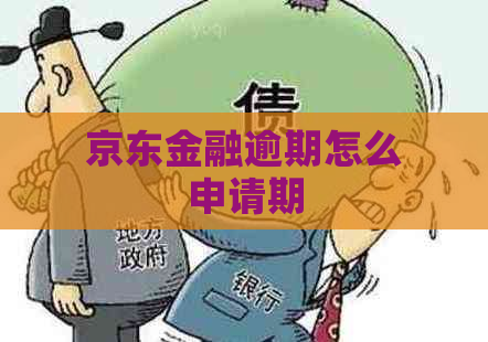 京东金融逾期怎么申请期