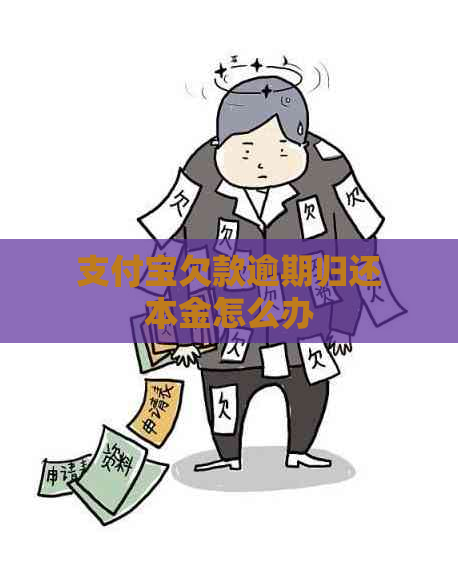 支付宝欠款逾期归还本金怎么办