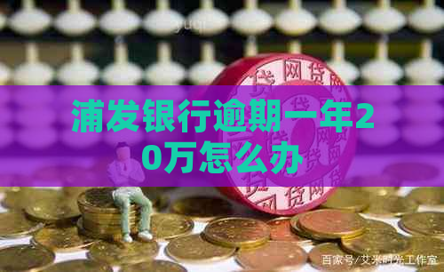 浦发银行逾期一年20万怎么办