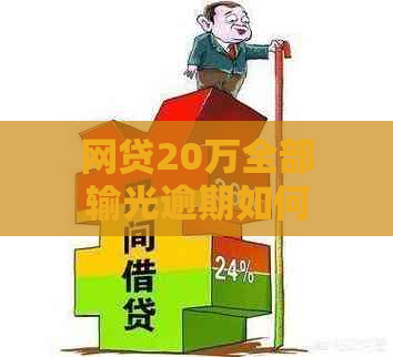 网贷20万全部输光逾期如何处理