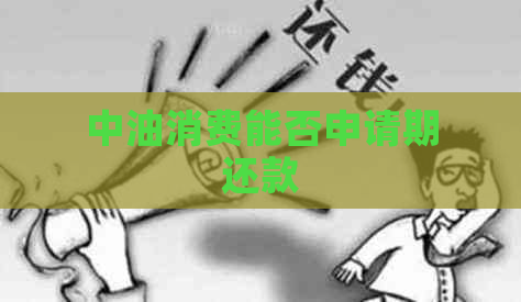 中油消费能否申请期还款