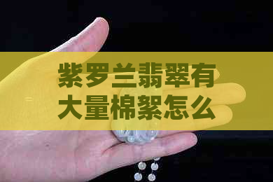 紫罗兰翡翠有大量棉絮怎么办？解决方法全解析