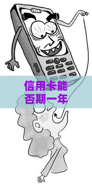 信用卡能否期一年还款