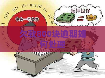 欠款800块逾期如何处理