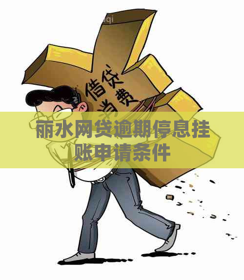 丽水网贷逾期停息挂账申请条件