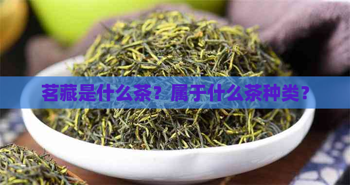 茗藏是什么茶？属于什么茶种类？