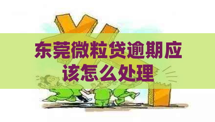 东莞微粒贷逾期应该怎么处理