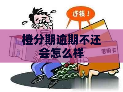 橙分期逾期不还会怎么样