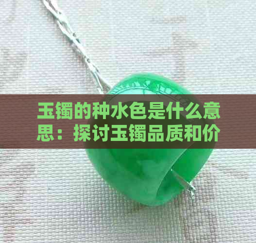 玉镯的种水色是什么意思：探讨玉镯品质和价值的指标