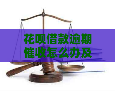 花呗借款逾期怎么办及相关问题