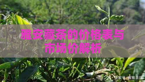 雅安藏茶的价格表与市场价解析