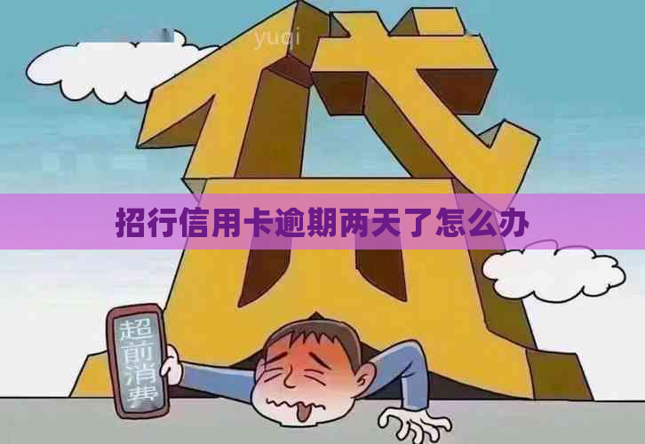 招行信用卡逾期两天了怎么办