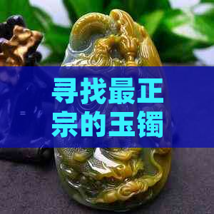 寻找最正宗的玉镯：专业购买渠道与鉴别技巧全面解析