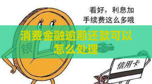 消费金融逾期还款可以怎么处理