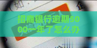 招商银行逾期5000一年了怎么办