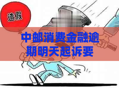 中邮消费金融逾期明天起诉要注意哪些事项