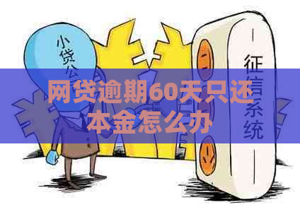 网贷逾期60天只还本金怎么办