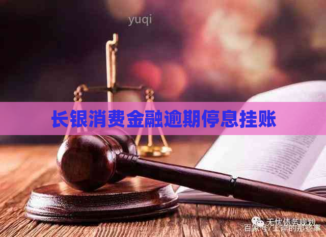 长银消费金融逾期停息挂账