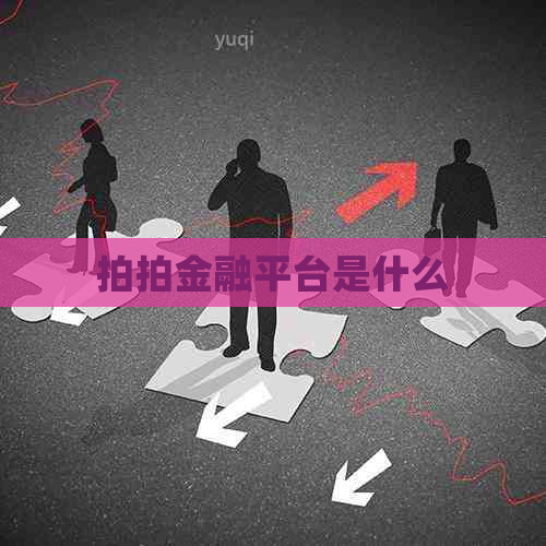 拍拍金融平台是什么