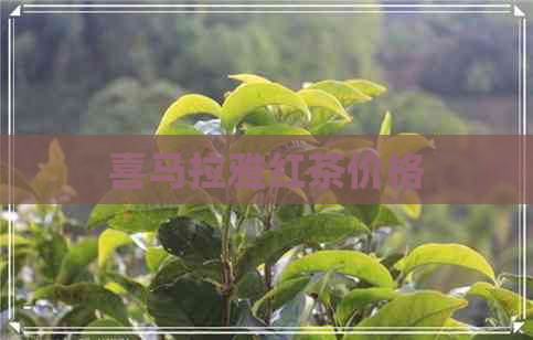 喜马拉雅红茶价格