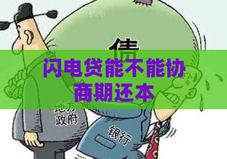 闪电贷能不能协商期还本