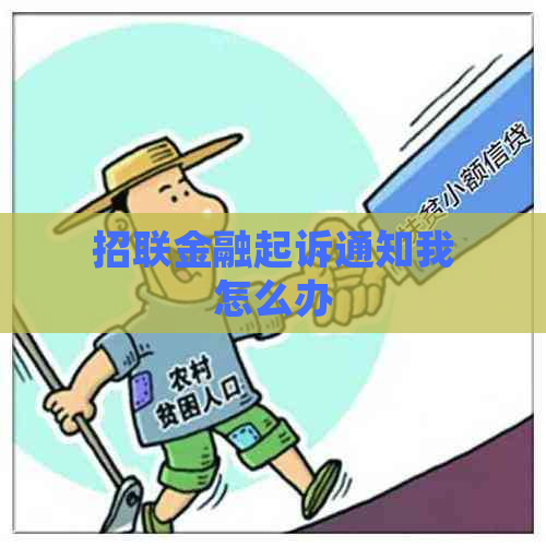 招联金融起诉通知我怎么办