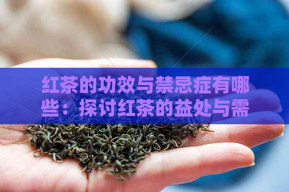 红茶的功效与禁忌症有哪些：探讨红茶的益处与需注意的问题